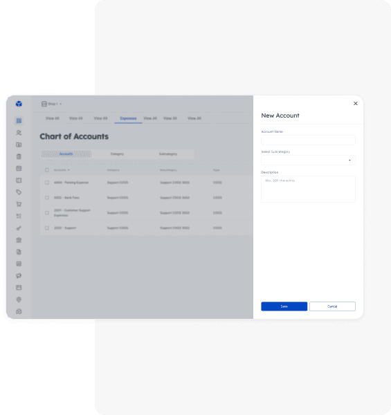 Custom chart of accounts